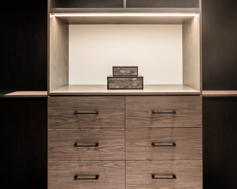 Dds10-Custom-Closet-Drawers-Modern-Style